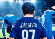 开云体育-昔日法甲球星结束职业生涯转行经商的简单介绍