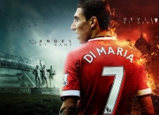 开云下载-赛道与球场，双线焦点下的浙江奇迹