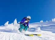 开云体育入口-绿茵场与篮球馆的绿色风暴，德甲争冠焦点战启示录与凯尔特人擒鹈鹕的战术共鸣