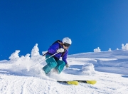 开云体育入口-绿茵场与篮球馆的绿色风暴，德甲争冠焦点战启示录与凯尔特人擒鹈鹕的战术共鸣