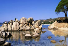 开云体育直播-利拉德关键时刻定乾坤，快船力克奇才展露冠军相