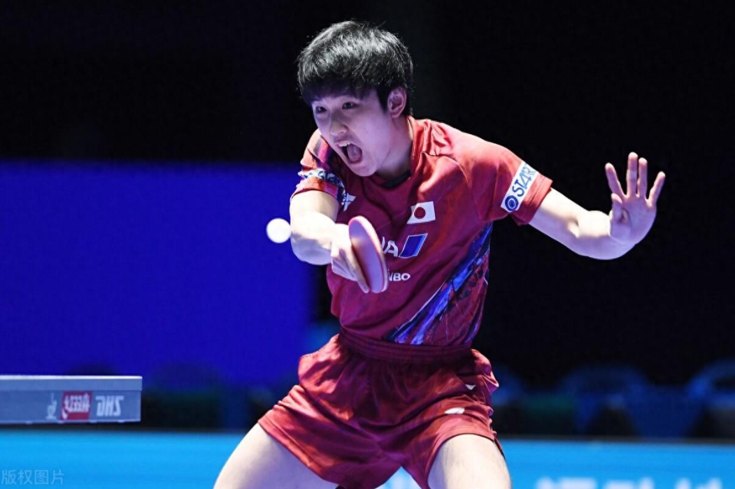 日本乒乓球队横扫比利时乒乓球队，马龙送出助攻的简单介绍