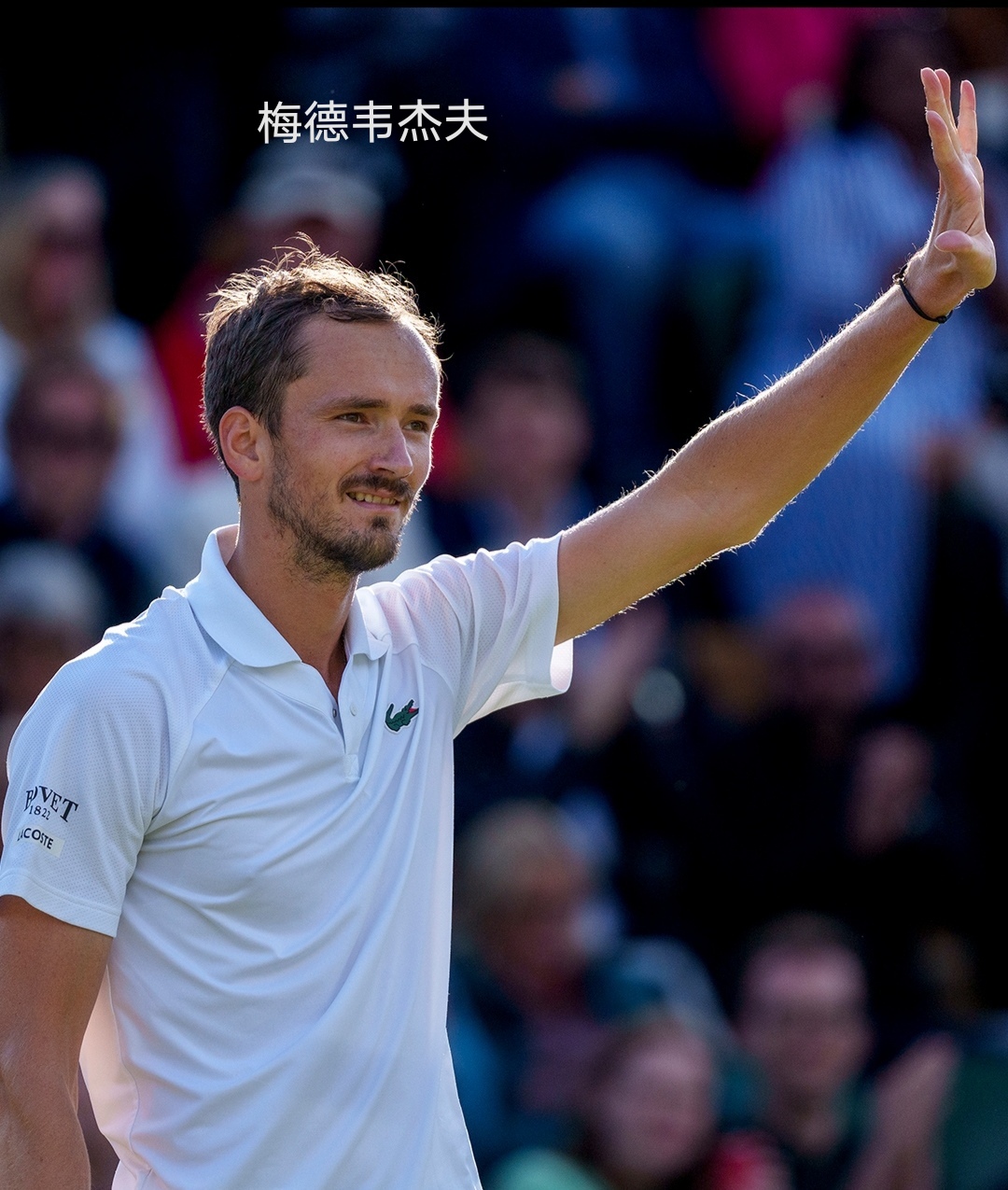 美国网球队绝杀世界网球队，梅德韦杰夫完成帽子戏法的简单介绍